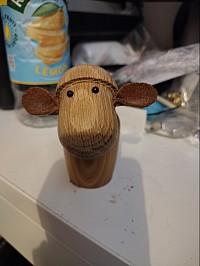 Turned sheep